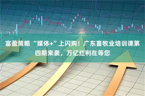 富盈策略 “媒体+”上闪购!广东畜牧业培训课第四期来袭,万亿红利在等您