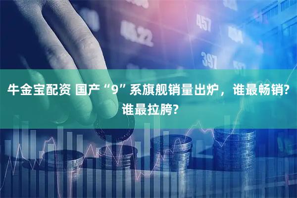 牛金宝配资 国产“9”系旗舰销量出炉，谁最畅销? 谁最拉胯?