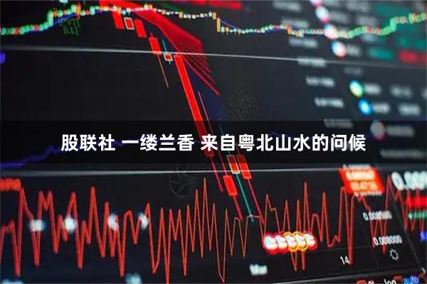 股联社 一缕兰香 来自粤北山水的问候