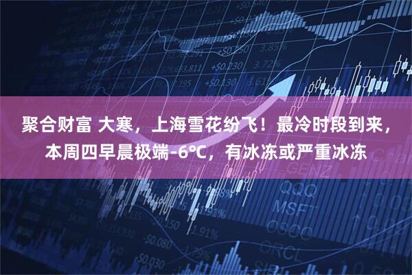 聚合财富 大寒，上海雪花纷飞！最冷时段到来，本周四早晨极端-6℃，有冰冻或严重冰冻