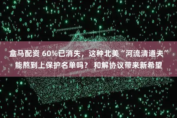 盒马配资 60%已消失，这种北美“河流清道夫”能熬到上保护名单吗？ 和解协议带来新希望