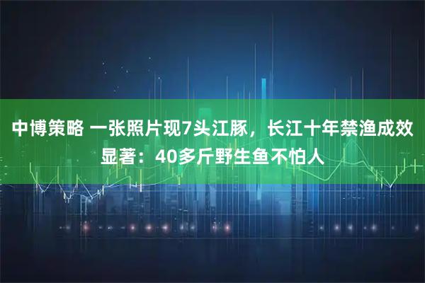 中博策略 一张照片现7头江豚，长江十年禁渔成效显著：40多斤野生鱼不怕人