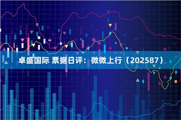 卓盛国际 票据日评：微微上行（202587）