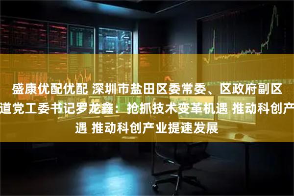 盛康优配优配 深圳市盐田区委常委、区政府副区长、梅沙街道党工委书记罗龙鑫：抢抓技术变革机遇 推动科创产业提速发展